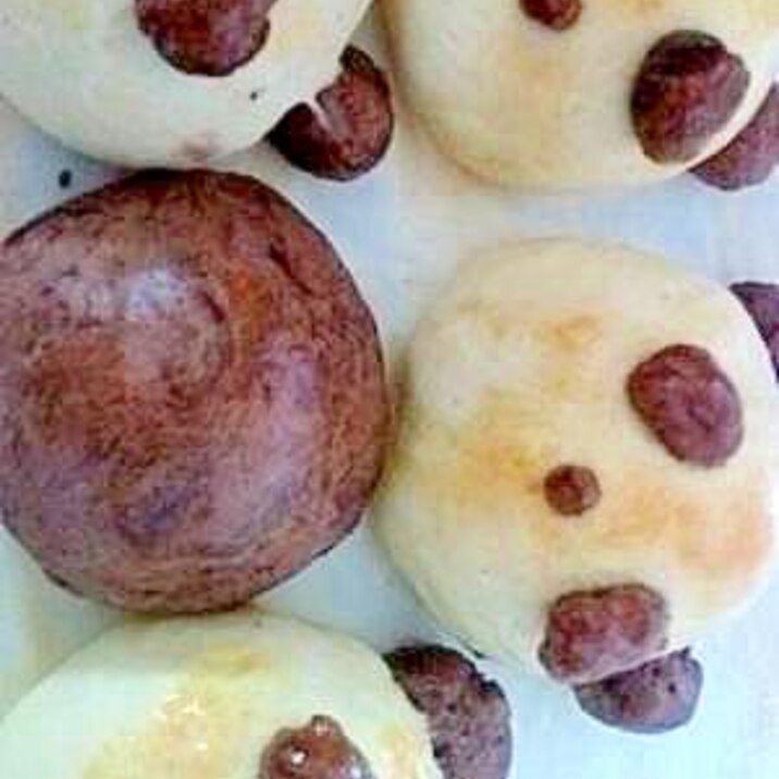 ホットケーキミックスでチョコパンダ レシピ 作り方 By 由奈 文音 楽天レシピ ホットケーキミックスでチョコパンダ レシピ 作り方 By 由奈 文音 楽天レシピ